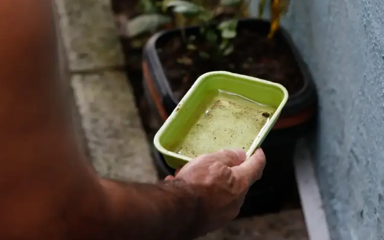 El Niño pode elevar incidência de doenças tropicais no Brasil