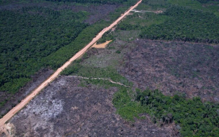 Leilão em SP busca captar recursos para inovação em sustentabilidade