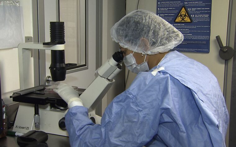 Nova técnica erradica sinais de HIV em células infectadas em laboratório