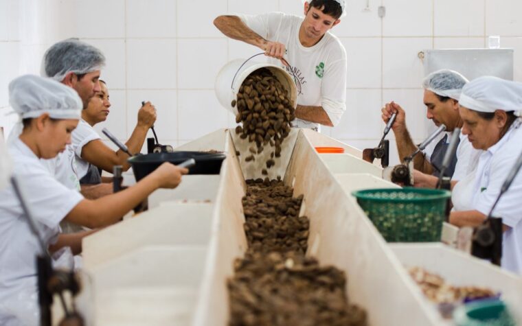 Prazo para consulta sobre sustentabilidade no Mercosul-UE se encerra amanhã