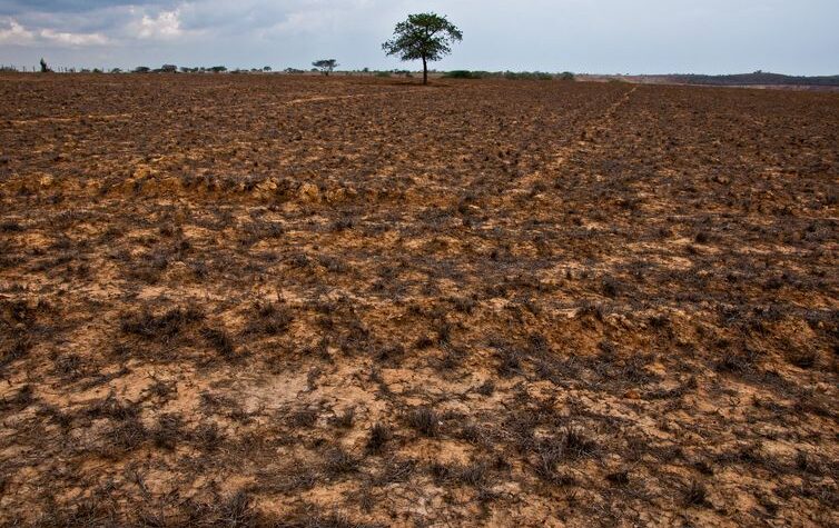 Avanço da seca em diversas regiões desafia COP17 na Holanda