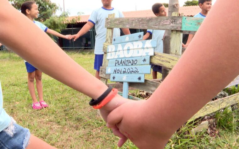 Identidade parda no Brasil é tema de Caminhos da Reportagem