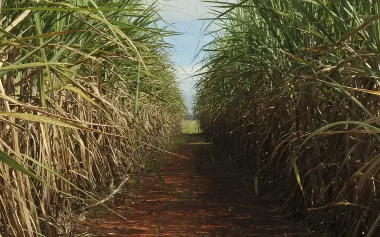 Governo autoriza aumento de limite de remuneração no Eco Invest Brasil