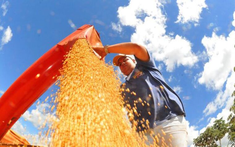 Atividade econômica no Brasil sofre retração de 0,6% em junho