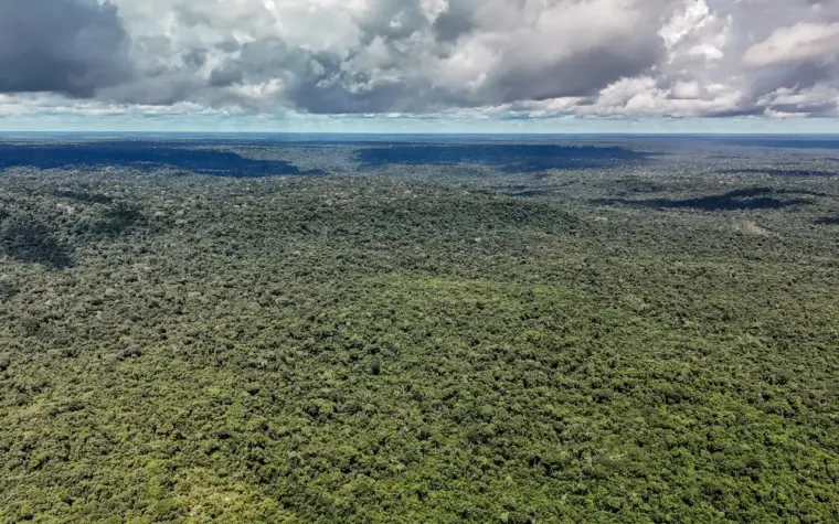 BID libera US$ 1 bilhão para projeto ambiental no Brasil