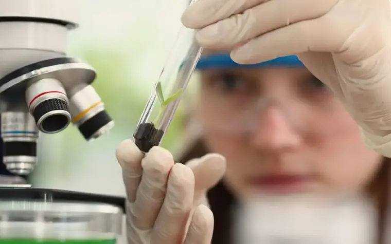 Inscrições abertas para prêmio internacional de mulheres cientistas
