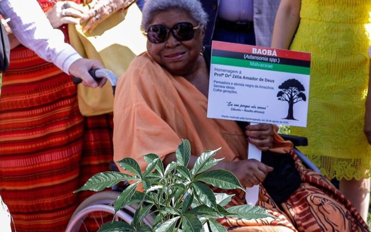 Luto no Pará: Zélia Amador de Deus, voz antirracista, falece aos 79 anos
