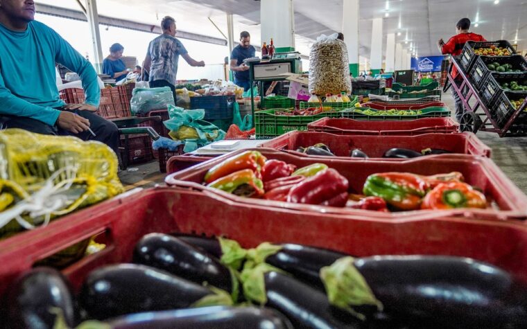 Campanha incentiva consciência contra desperdício alimentar no Brasil